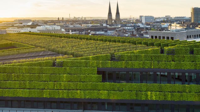 KöII Düsseldorf
