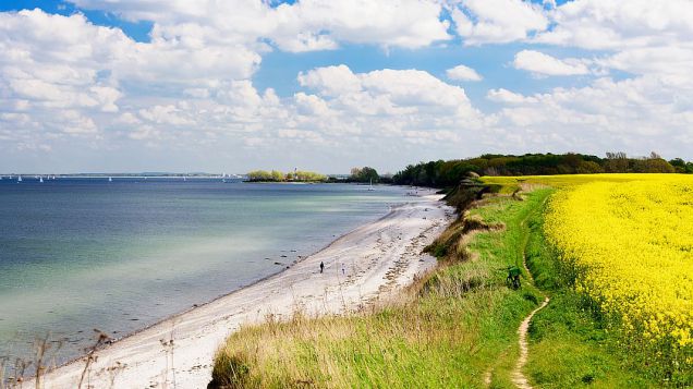 Ostseekueste - Duenenlandschaft
