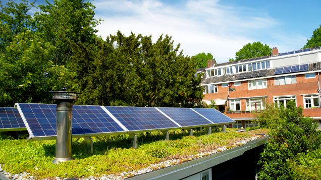 Solarpaneele auf grünem Dach