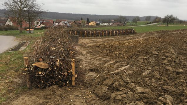 Reisigwälle als Erosionsschutz in Schallbach (Landkreis Lörrach)