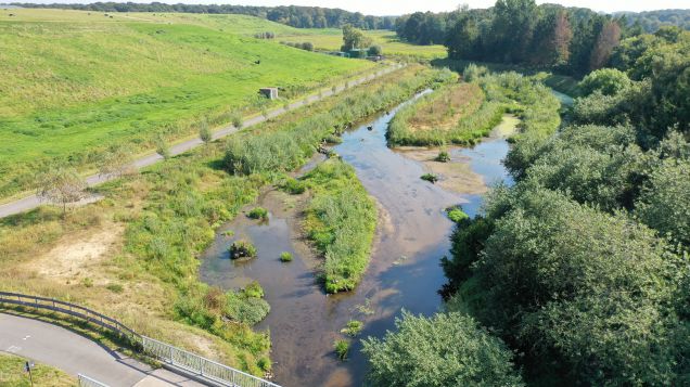 Renaturierte Aa in Borken-Hoxfeld (2021)
