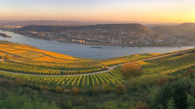 Bingen am Rhein. Quelle: Adobe Stock 220877706 Weinberg am Fluss Rhein mit Bingen im Hintergrund auf der anderen Flussseite.