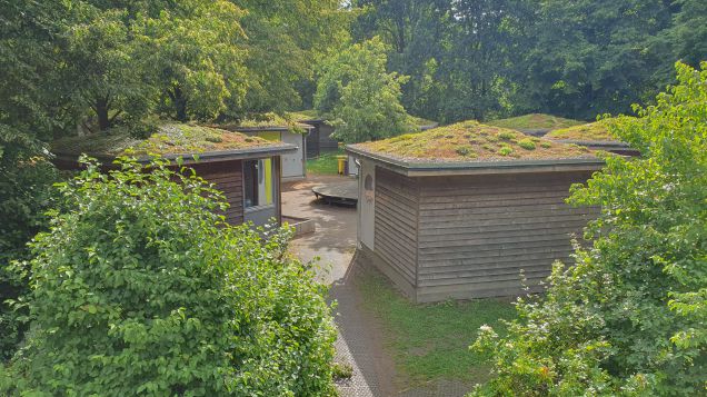 Hüttendorf mit Gründächern im Jugengästehaus Lütjensee. Quelle: Sarah Hartwig Blockhütten mit Gründächern auf einem waldigen Grundstück.
