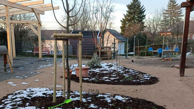 Neu gepflanzte Bäume im Außenbereich der KiTa, Quelle: Kind Aktiv e.V. Außenbereich im Winter. Zu sehen sind zwei junge, noch sehr dünne, unbelaubte Bäume, die von einem Holzgerüst gestützt sind und in einer Erdenrigole stehen. Auf der Erde ist Schnee sichtbar.