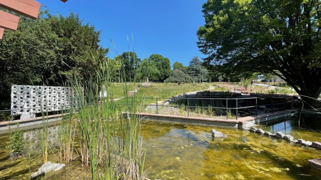 Neugestaltung der Teiche. Quelle: Stadt Wiesloch Angelegter Teich mit großem Becken im Vordergrund und weiteren Becken im Hintergrund.