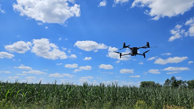 Drohne mit Thermalkamera startet die Datenerfassung über einem Maisfeld in der Niederlausitz