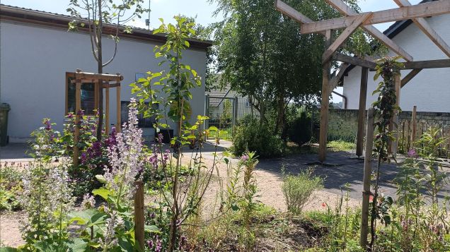 Innenhof mit verschiedenen neu angelegten Büschen und Bäumen. Rechts steht eine Holzpergola. Im Hintergrund befindet sich das Kita-Gebäude.