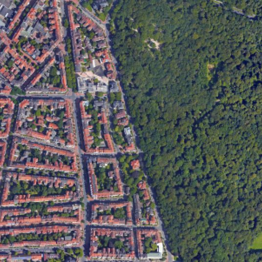 Stadt Hannover und Wald Eilenriede aus Vogelperspektive