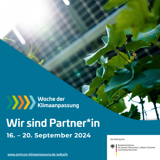 Wir sind Partner*in der Woche der Klimaanpassung