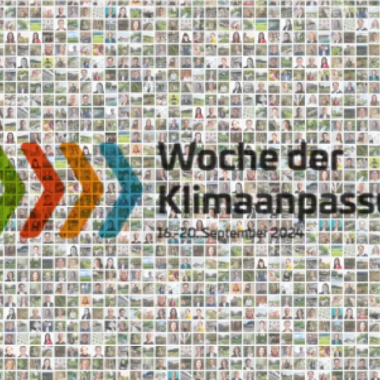 Teilnehmende WdKA 24