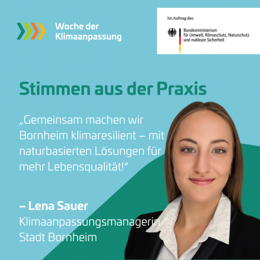 Lena Sauer