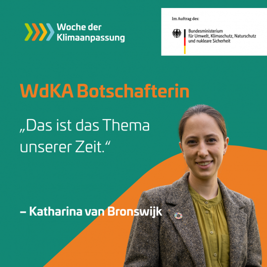 van Bronswijk