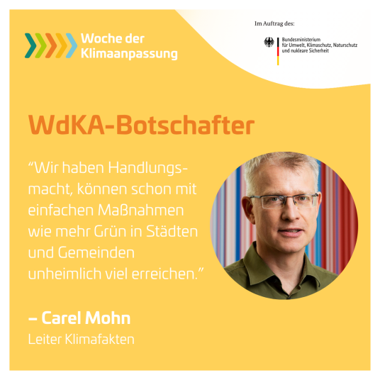 Carel Mohn_Zitat