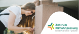 Newsletter Header 15 Newsletter Header 15