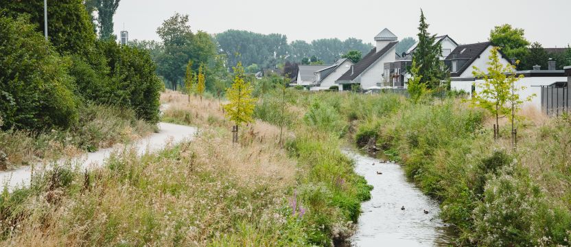 Renaturierung ⒸFabianWeiss