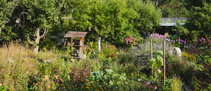 Grün in der Stadt Münster