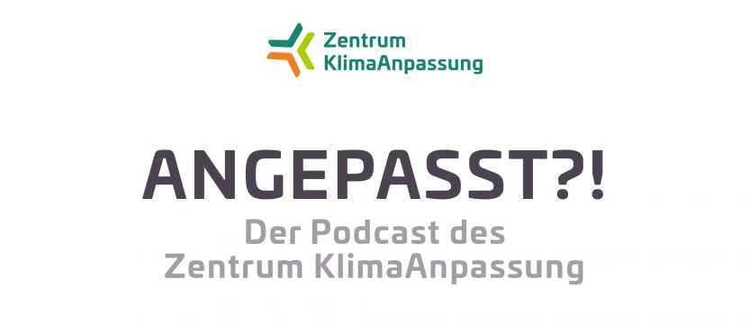 Die Rolle der Klimaanpassung in der Bildung