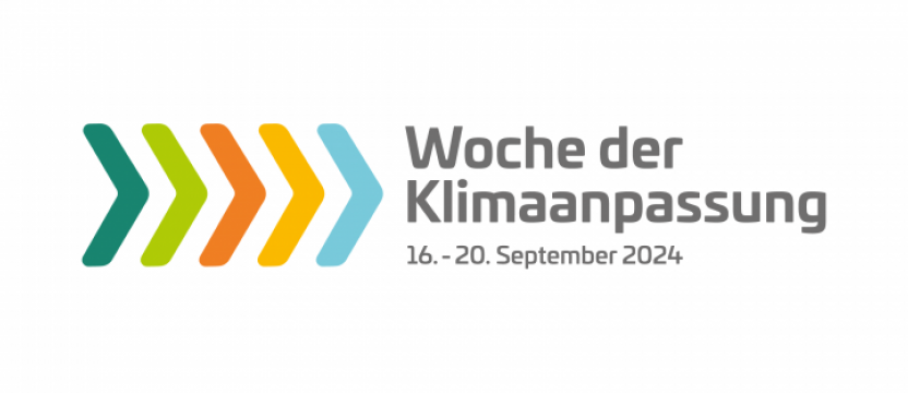 Logo WdKA24