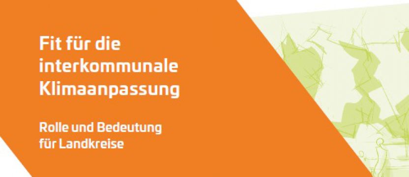 Publikation Landkreise Titelblatt