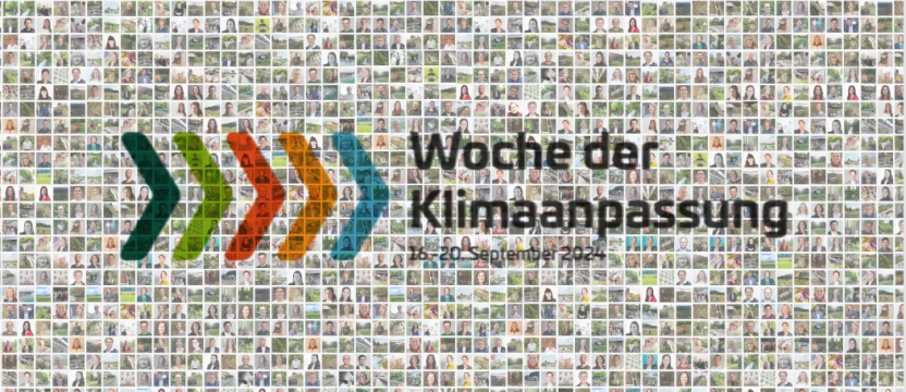 Teilnehmende WdKA 24