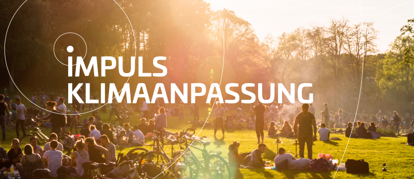 Impuls Klimaanpassung 
