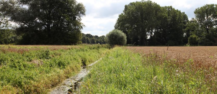 Kreis Viersen Entwässerungsgraben