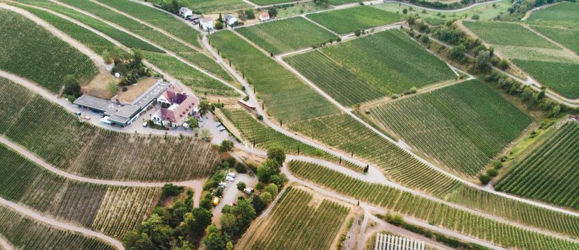 Eine PV-Anlage im staatlichen Weingut Ihringen nahe Freiburg im Breisgau, Deustchland.