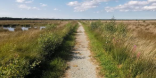 Zu sehen ist eine flache Landschaft, durch die ein geschotterter Fußweg führt. Links und rechts des Weges ist hohes Weidegras zu sehen. Die Landschaft sieht typisch Norddeutsch aus.