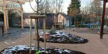 Außenbereich im Winter. Zu sehen sind zwei junge, noch sehr dünne, unbelaubte Bäume, die von einem Holzgerüst gestützt sind und in einer Erdenrigole stehen. Auf der Erde ist Schnee sichtbar. 