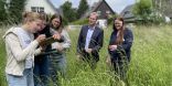 Citizen Science Workshop - Gruppe auf einer Wiese, die zusammen arbeitet