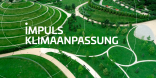 Impuls Klimaanpassung 