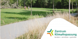 Newsletter 16 Header