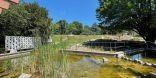 Angelegter Teich mit großem Becken im Vordergrund und weiteren Becken im Hintergrund.
