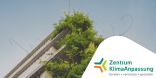 Newsletter No 20