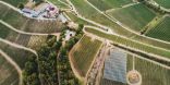 Eine PV-Anlage im staatlichen Weingut Ihringen nahe Freiburg im Breisgau, Deustchland.