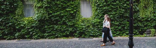 Fassadenbegrünung am Rathaus in Aschaffenburg, Deutschland.