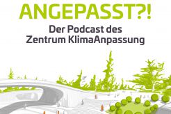 Podcast Angepasst