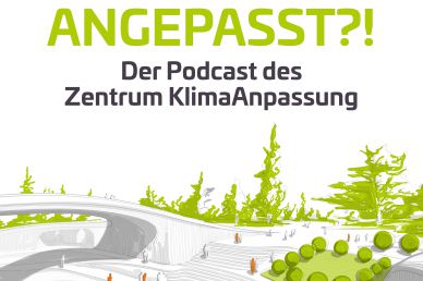 Podcast Angepasst