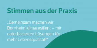 Lena Sauer_ohne Foto