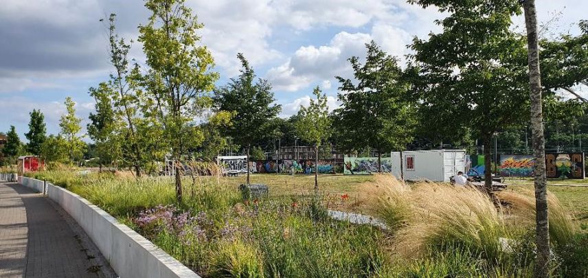 Kulturpark nachher. Foto: Grünflächenamt Wiesbaden. Kulturpark nachher. Foto: Grünflächenamt Wiesbaden.