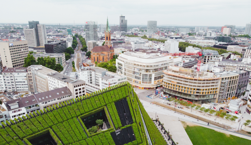 NRWDuesseldorf