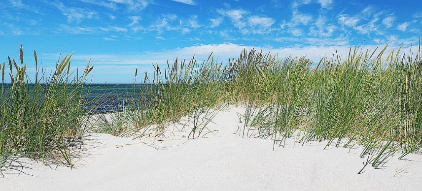 Dünenlandschaft Ostsee Dünenlandschaft
