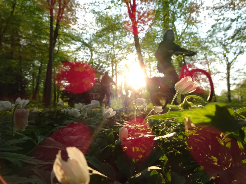 Die Natur im Stadtgebiet genießen. Foto: Frieder Leuthold