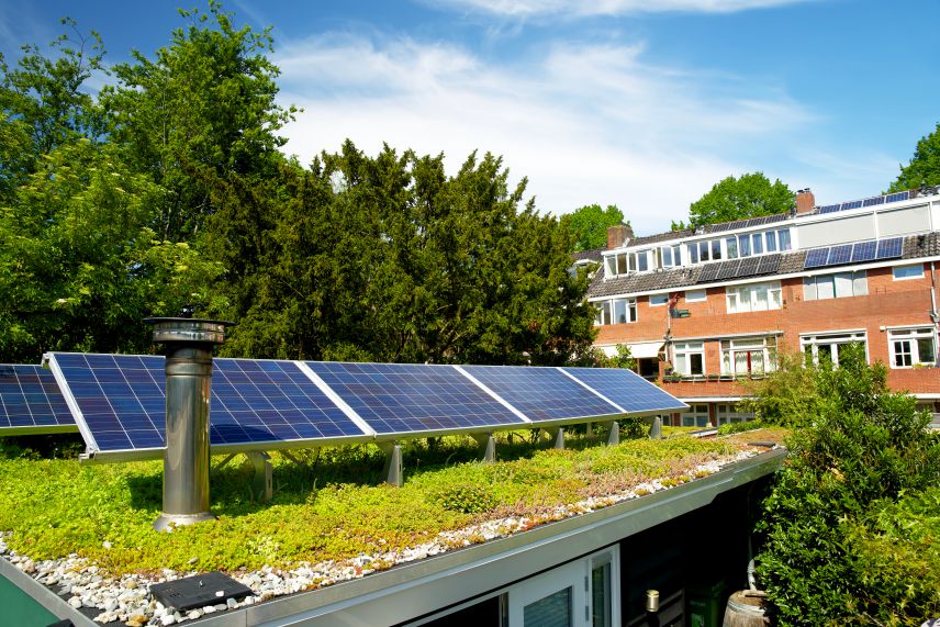 Solarpaneele auf grünem Dach Solarpaneele auf grünem Dach