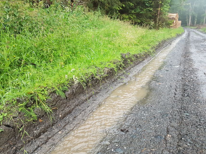 Waldwege können zur Sammlung von Oberflächenabflüssen führen und die Überflutungssituation verschärfen. Foto: WaldAktiv Waldwege können zur Sammlung von Oberflächenabflüssen führen und die Überflutungssituation verschärfen. Foto: WaldAktiv