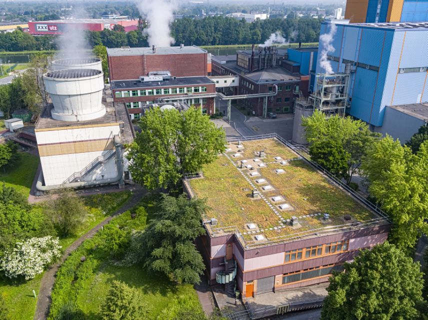 Extensive Dachbegrünung der Müllverbrennungsanlage GMVA in Oberhausen