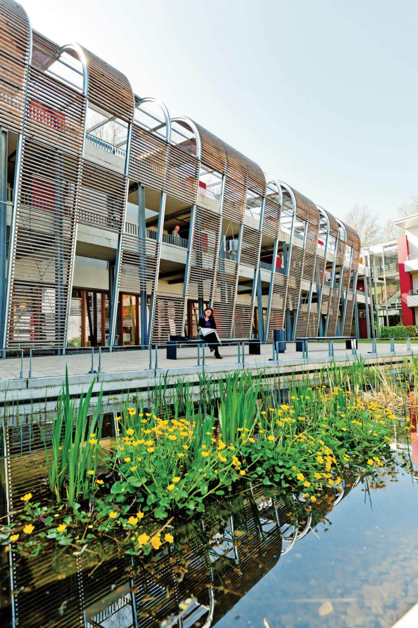 Foto: Zukunftsinitiative Klima.Werk / EGLV VIVAWEST Johanniskirchgärten, Essen