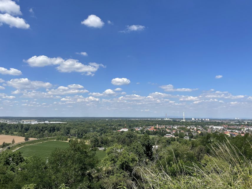 Aus der Perspektive einer Anhöhe ein Panoramablick auf die Stadt Aschaffenburg