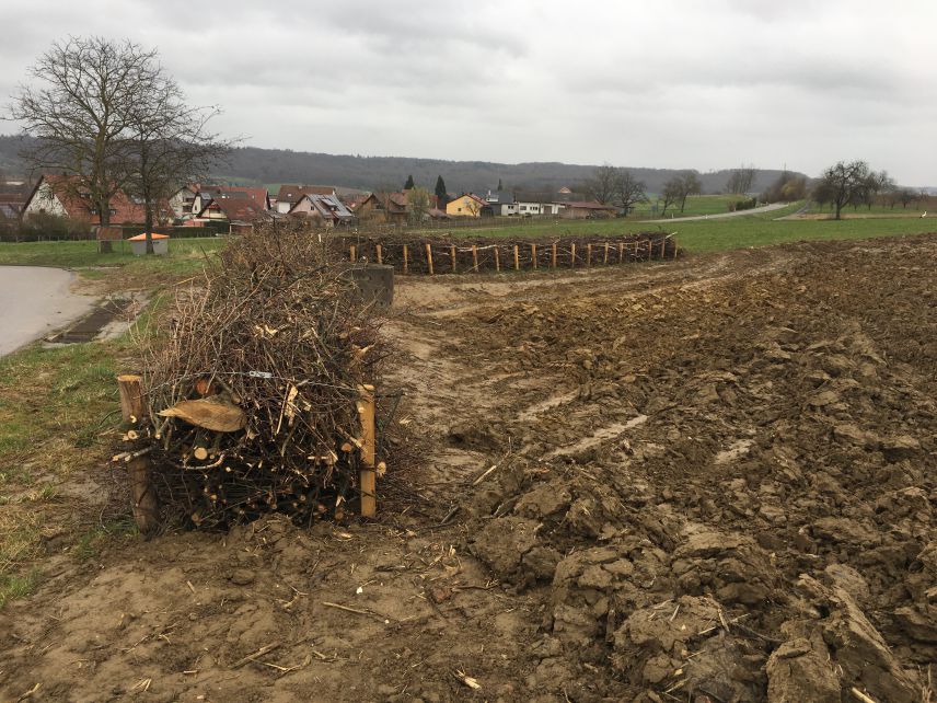 Reisigwälle als Erosionsschutz in Schallbach (Landkreis Lörrach)