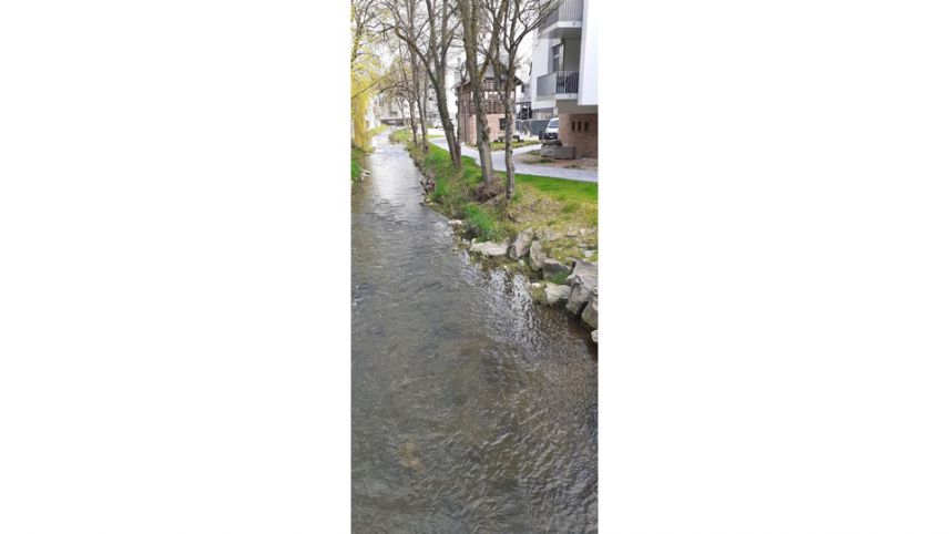 Bachlauf des Simmerbachs in Wohnhausnähe